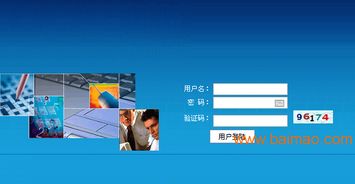 直销软件定制、制度设计与制作 从需求到实现的全方位解析