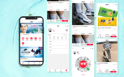 软件企业官网建设与移动端开发一体化解决方案